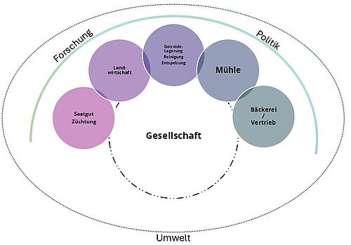 Eine agrarökologische Betrachtungsweise der Wertschöpfungskette. Von Züchtung bis Kunden. Im Kontext von Politik und Forschung. Im Rahmen der Umweltverträglichkeit.